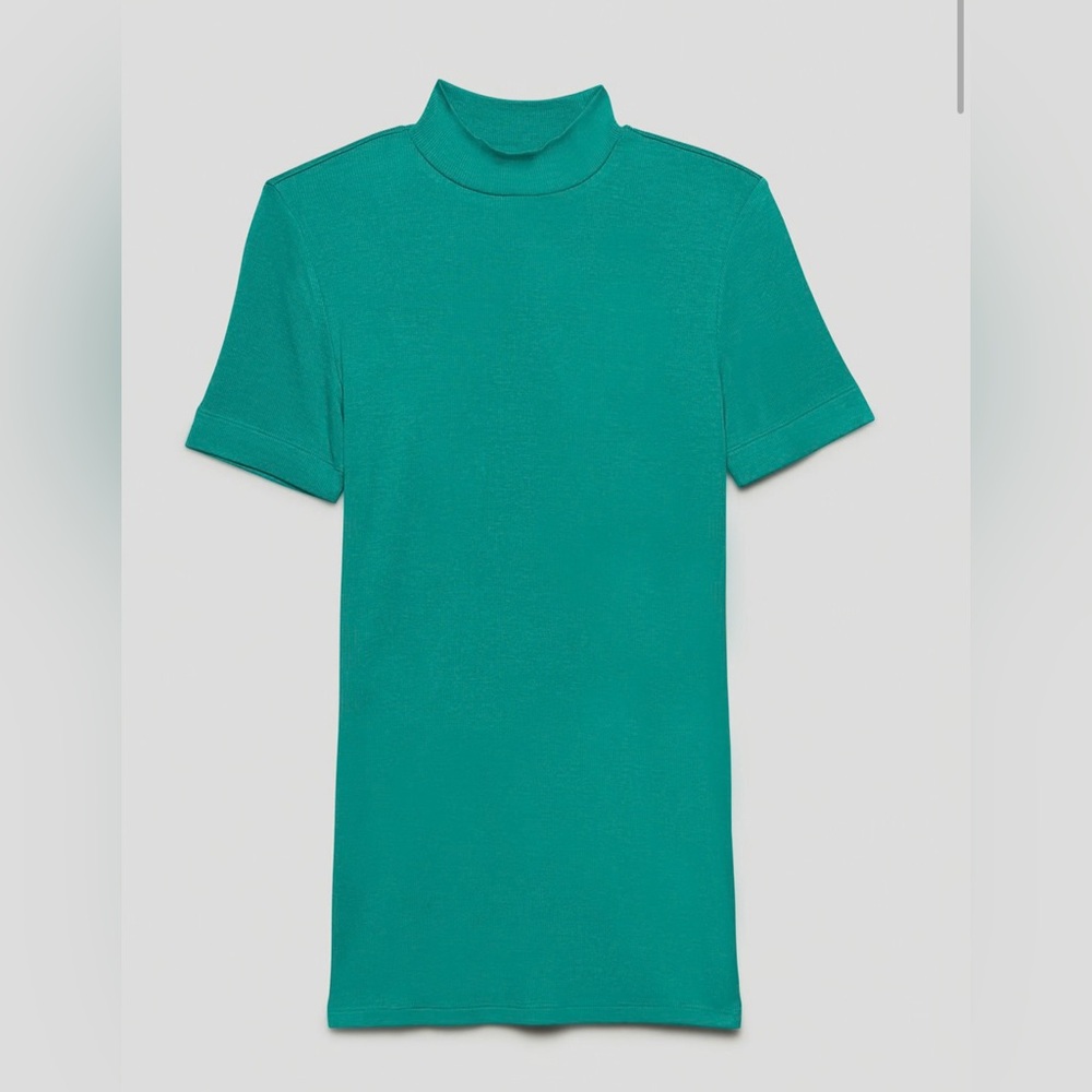 Aritzia Babaton Gonzalo Hip t shirt with mock neck.